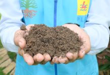 PLN Sambut Positif Langkah BSN Tetapkan SNI FABA, Dukung Pertanian Produktif