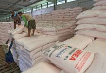 Realisasi Penyaluran Pupuk Bersubsidi di Sulut Masih Rendah