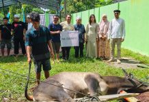 RSUP Kandou Serahkan 10 Ekor Sapi dan 1 Ekor Kambing di Hari Raya Idul Adha