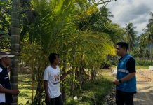 Fajar Baru di Suka Damai, Jalan Tani PLN Pangkas Biaya, Senyum Petani Merebak