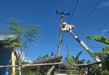 PLN UP3 Palu Pastikan Sistem Kelistrikan Tetap Andal Pasca Gempa