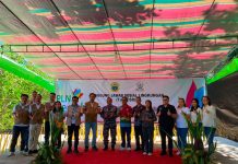 PLN Dorong Peningkatan Ekowisata Desa Tarabitan Melalui Pengembangan UMK dan Wisata Edukasi Mangrove