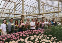 Dukung Kemandirian Petani Bunga Krisan, PLN UID Suluttenggo Resmikan Program Electrifying Agriculture di Tomohon