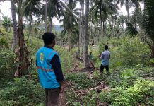 PLN UP3 Gorontalo Buka Akses dan Tumbuhkan Ekonomi Desa Ambara