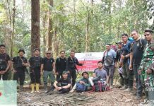Operasi Gabungan Polda Sulut Tertibkan Tambang Ilegal di Kawasan Taman Nasional Bogani Nani Wartabone